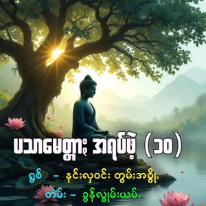 ပသာမေတ္တာႏ အရပ်ဖဲ့ (၁၀)