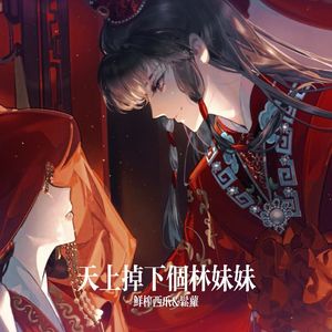 天上掉下个林妹妹