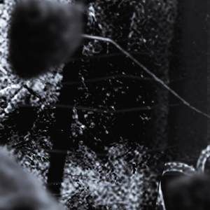 Scruffy Scrapers (Prod.Hushinsilence)