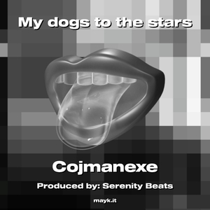 My dogs to the stars