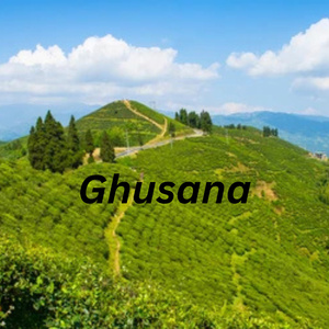 Ghusana