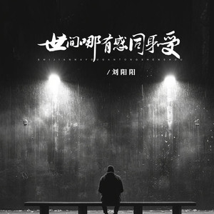 世间哪有感同身受 (DJ锋仔版)