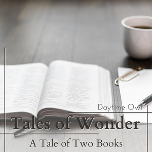 The History of a Book