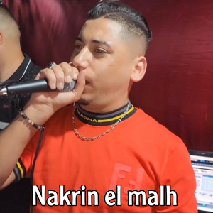 Nakrin el malh