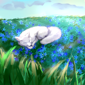 きつねの窓（狐狸的窗户）