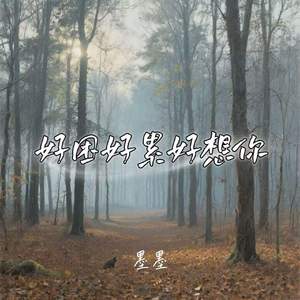 好困好累好想你