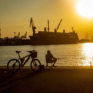 Daily Life of a Harbor