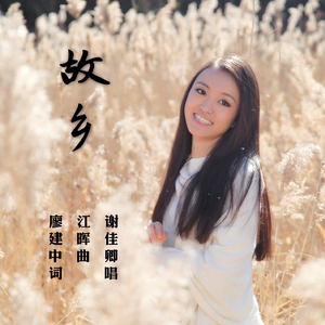 故乡（Cover 王丽达）