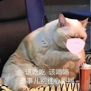 找到你是我最伟大的成功