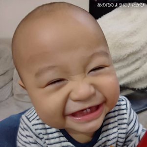 あの花のように