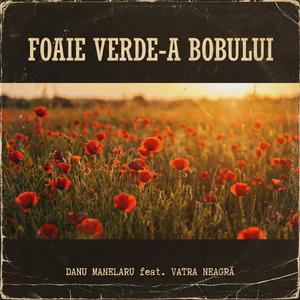 Foaie verde-a bobului (feat. Vatra Neagră)