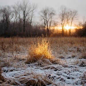冬与光（Winter and Light）