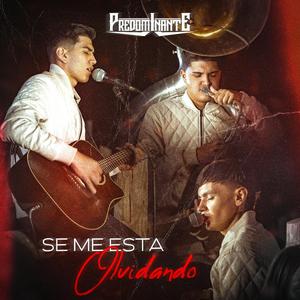 Se Me Esta Olvidando