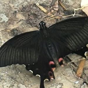 钢琴白噪音里的入眠之约