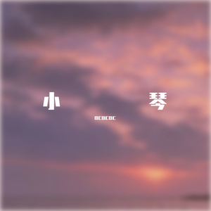 小琴