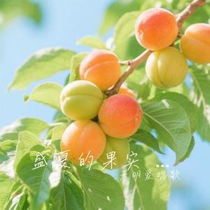 盛夏的果实 (R&B版)（Cover 音乐的入门到改行）