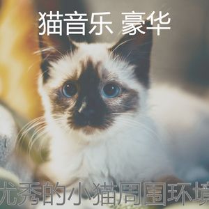 微妙的睡猫心情