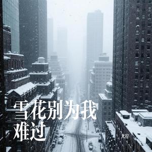 雪花别为我难过