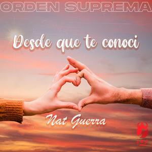 Desde que te conoci (feat. Nat guerra)