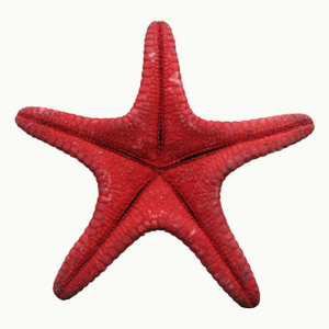 We Travel The Spaceways