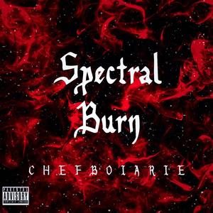 Spectral Burn