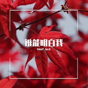 林子祥 - 谁能明白我(Adolf Jack Remix)
