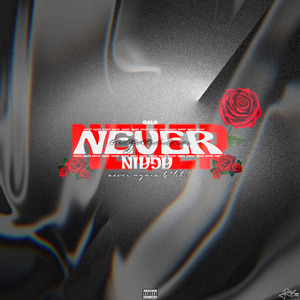 Never Again