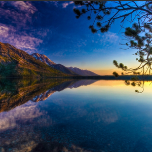 琉璃苣_一生有你