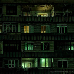 Жуки