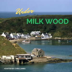 Starless and Bible Black