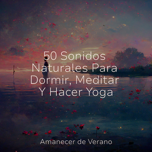 Tonos Ámbar al Atardecer