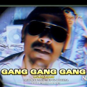 GANG GANG GANG
