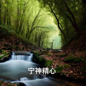 雨声冥想 (竖琴曲)
