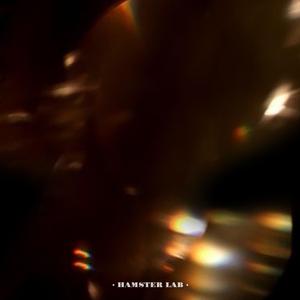 落在生命裡的光 - The Light That Found Me