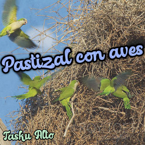 Pastizal Con Aves