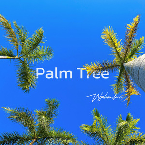 Palm Tree