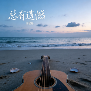 总有遗憾