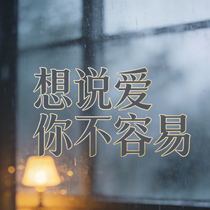 想说爱你不容易（梦里啥都有DY remix）