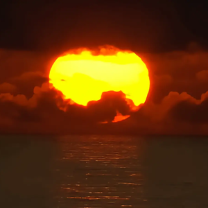 八角笼中的孩子