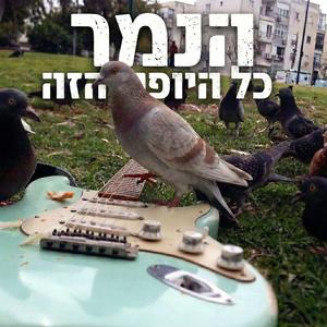 כל היופי הזה (2026 mix)