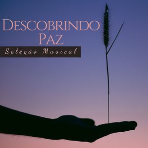 Descobrindo Paz