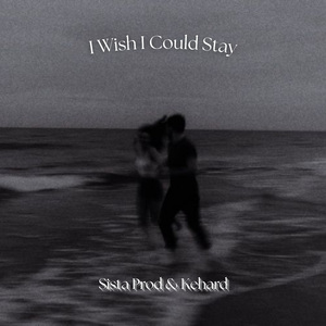 I Wish I Could Stay (Slowed + Reverb)