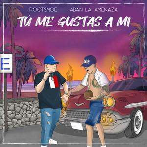Tu Me Gustas a Mi