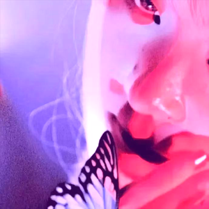 夏日飞车SUMMER GEAR