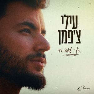 אין לי כוח לפרידות