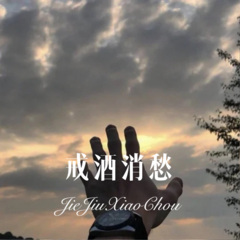 戒酒消愁 (DJ新版)