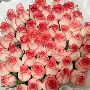 画皮(女生弹唱版)