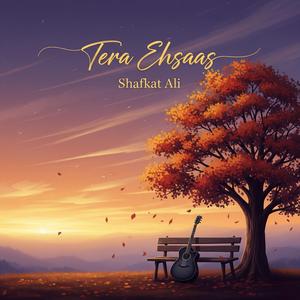 Dil Ka Sukoon (दिल का सुकून)