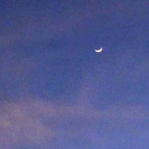 一些与爱而不得有关