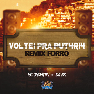 Voltei pra Putaria (Remix)